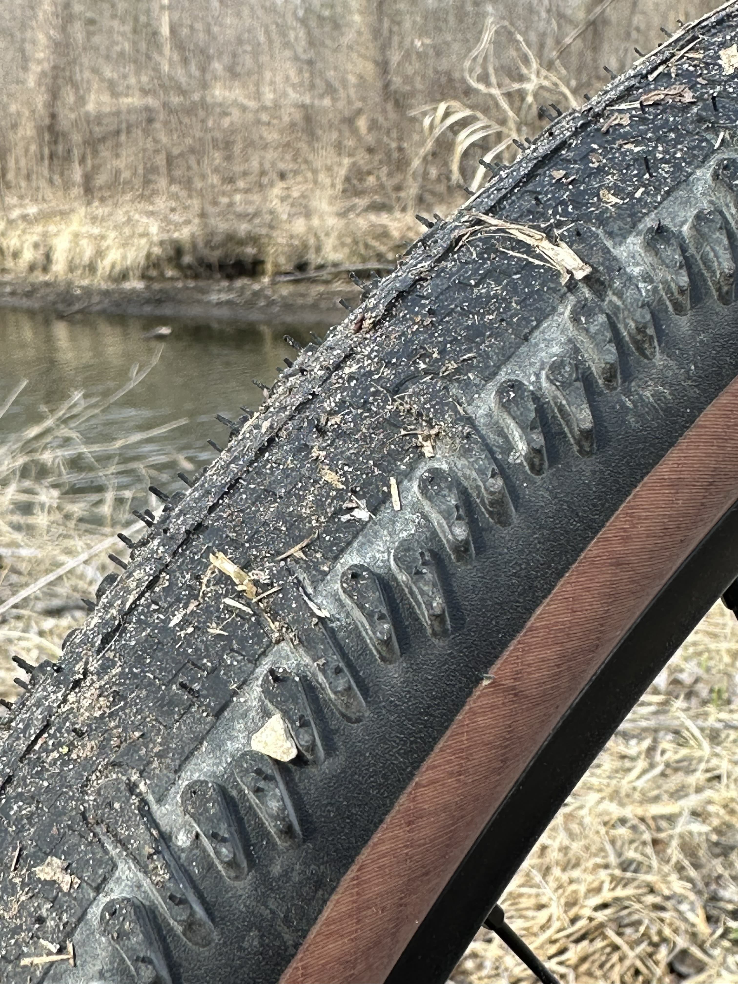 Transparent sidewall detail on Schwalbe G-One RS tire
