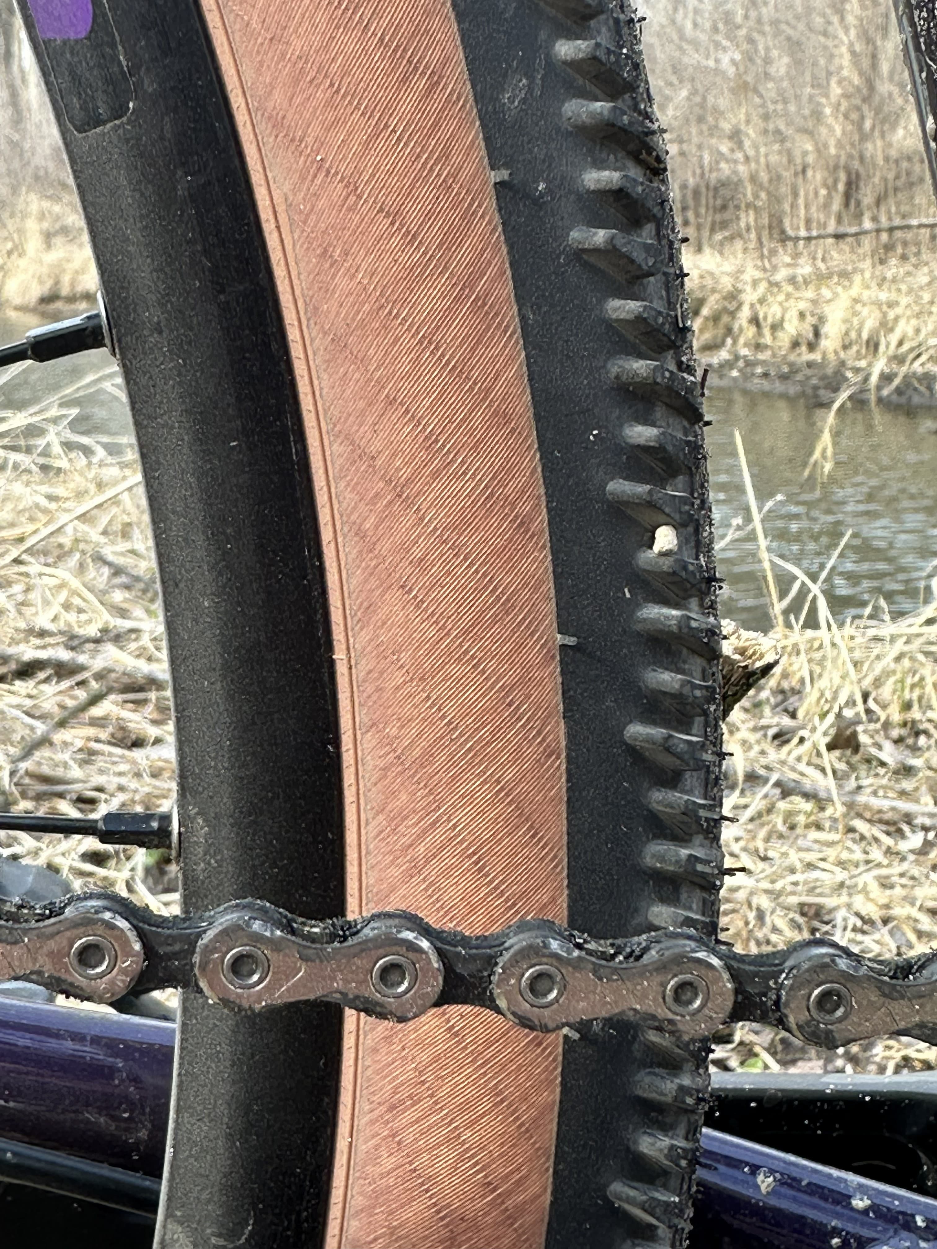Closeup of the Schwalbe G-One RS rear tire tread