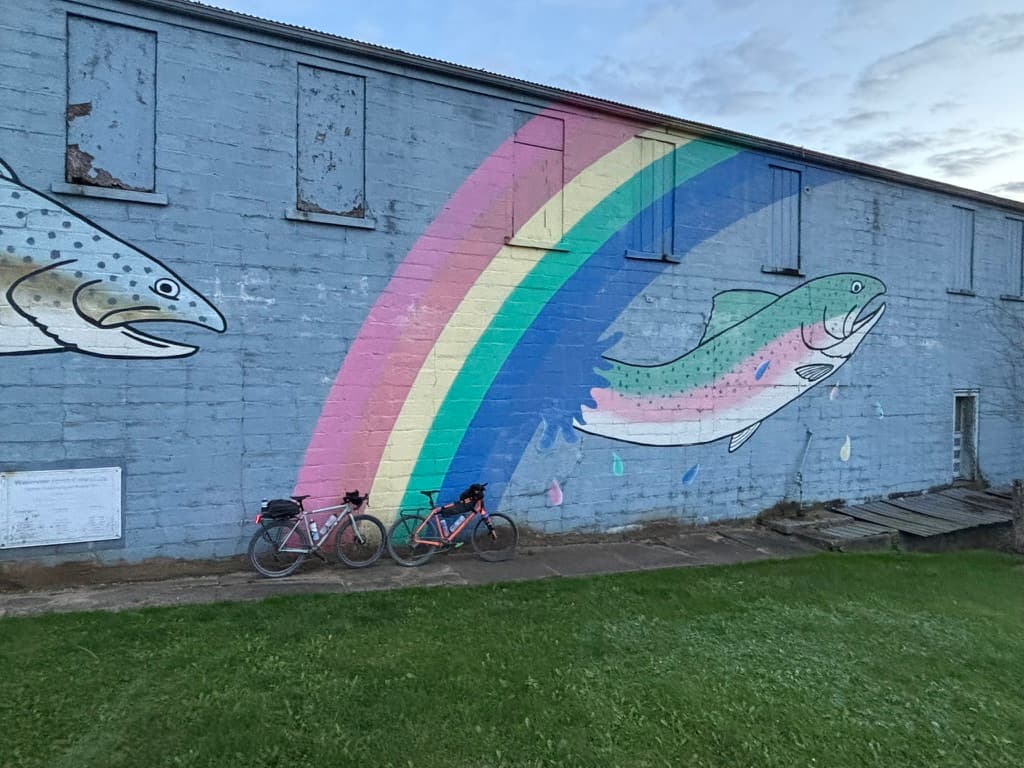 Rainbow trout mural with bikes